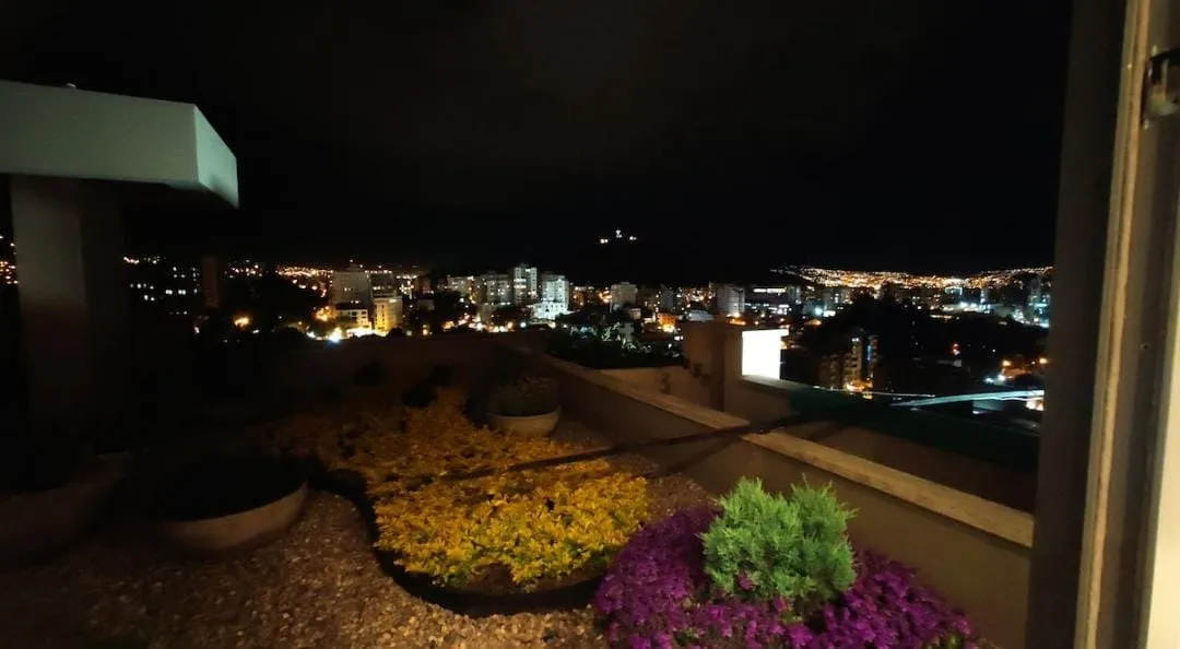 Cyberpunk Edgerunners Artwork